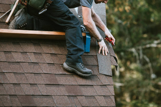 Roof Gutter Cleaning in Wagener, SC